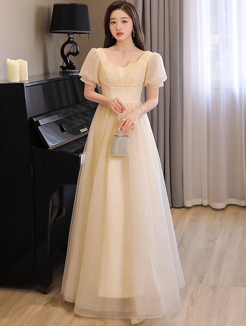 Simple Fashion Champagne Slim Tulle Formal Evening Dress01