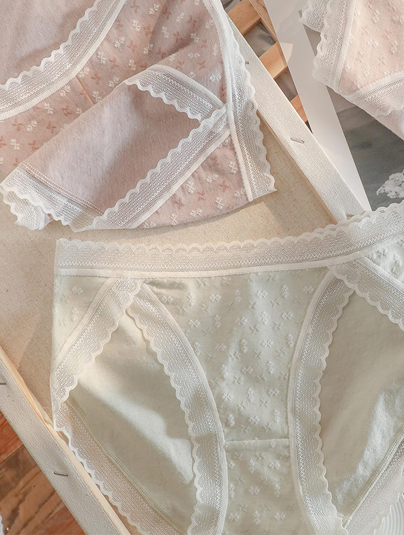 Women’s Lace Trim Underwear Panty Casual Knicker02