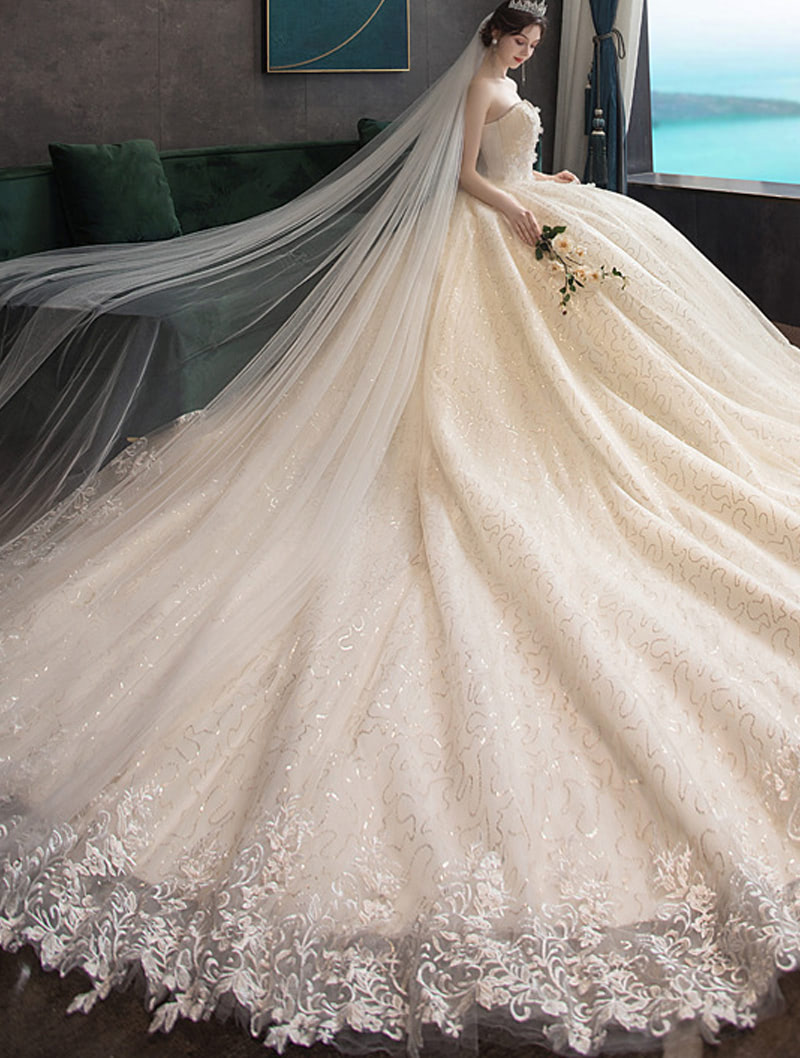 Chic Slim Champagne Strapless Wedding Dress Bridal Gown01