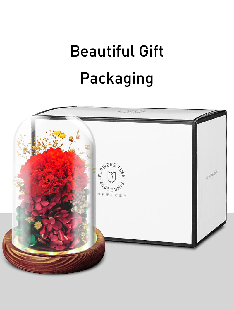 Forever Real Carnation Present for Mother Grandmother and Wife01