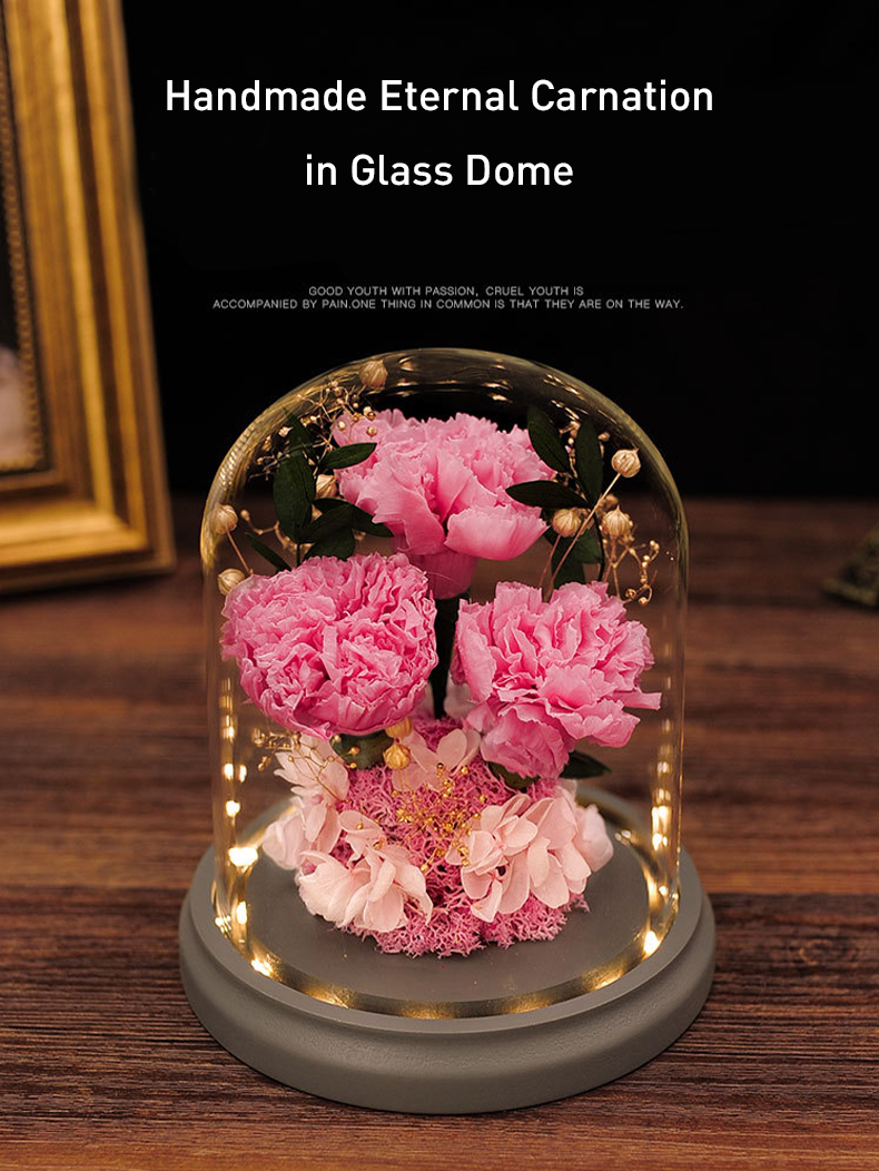Handmade Eternal Carnation Glass Dome for Mother’s Day Birthday06