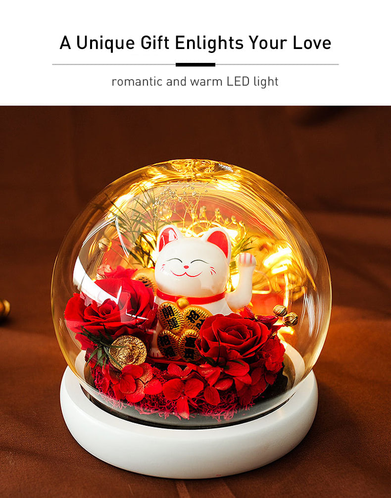 Preserved Flowers in Glass Dome Creative Gift with Fortune Cat10