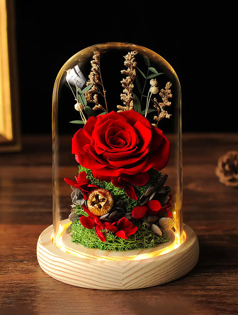 Preserved Real Rose in Glass Dome for Birthday Christmas Wedding01