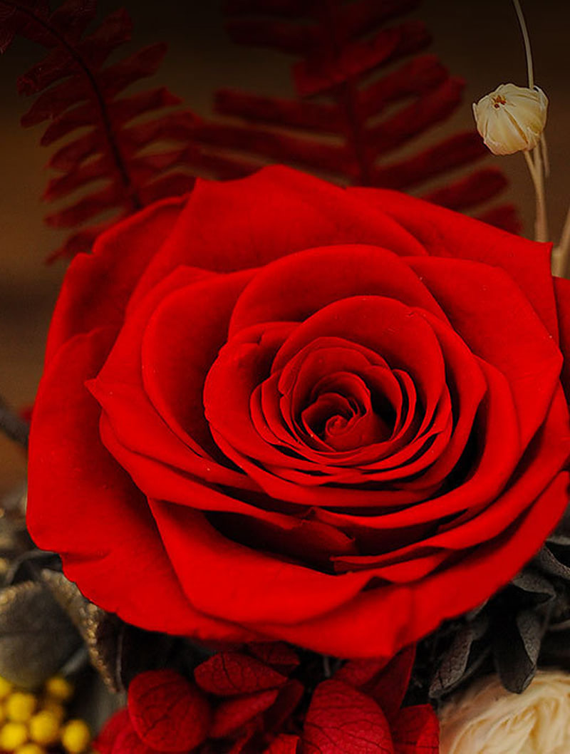 Romantic Forever Rose in Glass Creative Gift for Her Women02