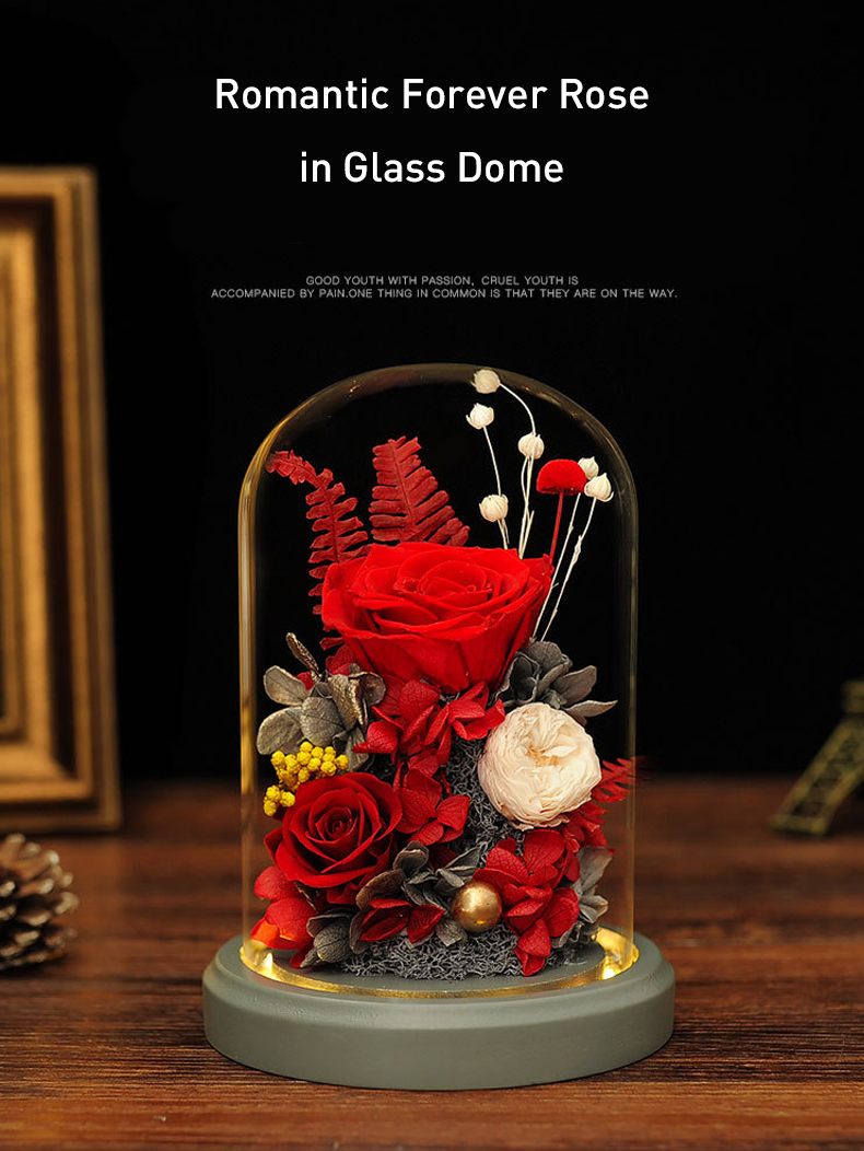 Romantic Forever Rose in Glass Creative Gift for Her Women07