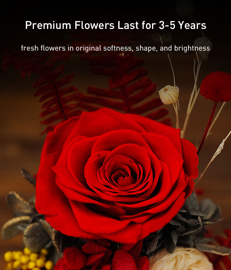Romantic Forever Rose in Glass Creative Gift for Her Women11
