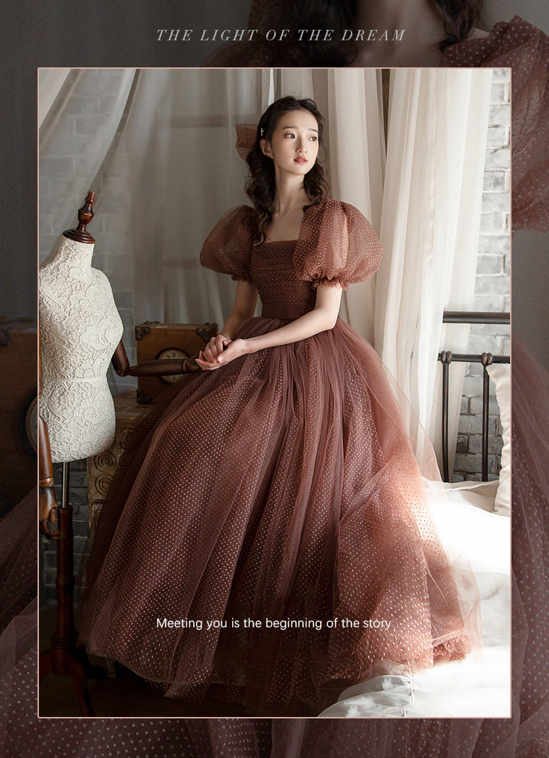 Charming-Brown-Tulle-Ball-Gown-Elegant-Party-Wear-Maxi-Dress07