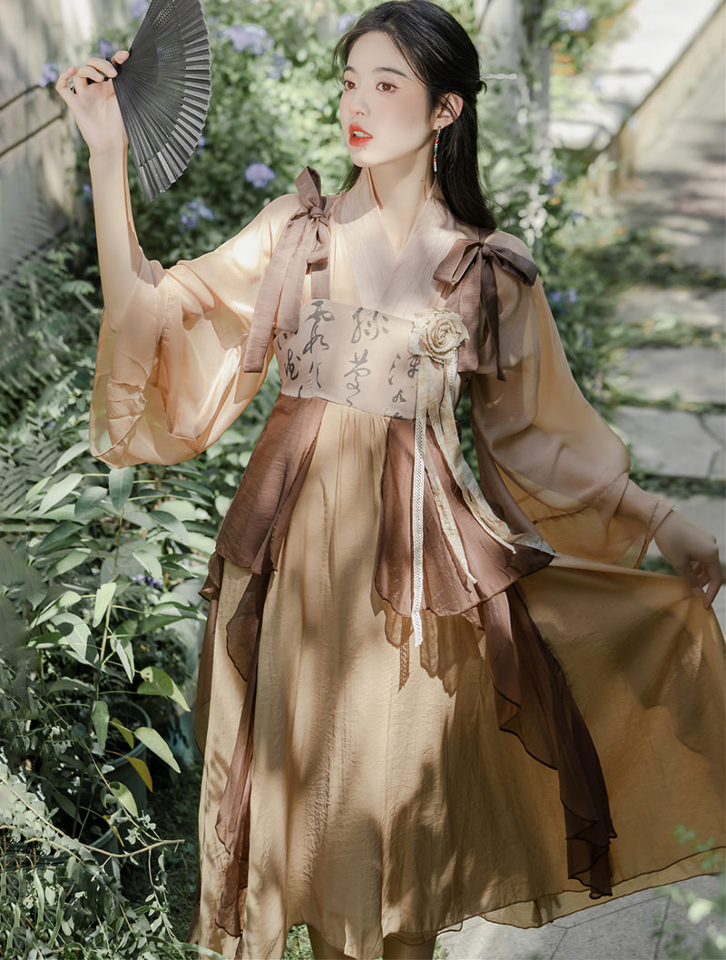 Chinese Traditional Costume Brown Slip Dress Modern Hanfu Suit01
