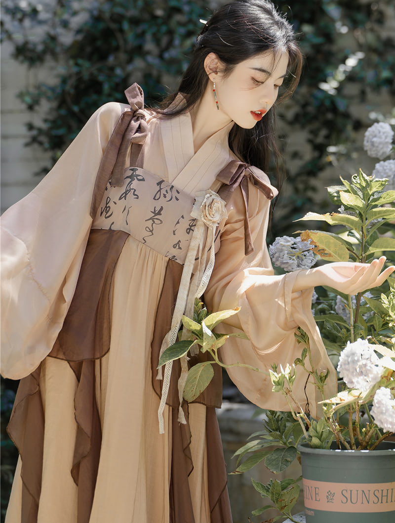Chinese Traditional Costume Brown Slip Dress Modern Hanfu Suit04