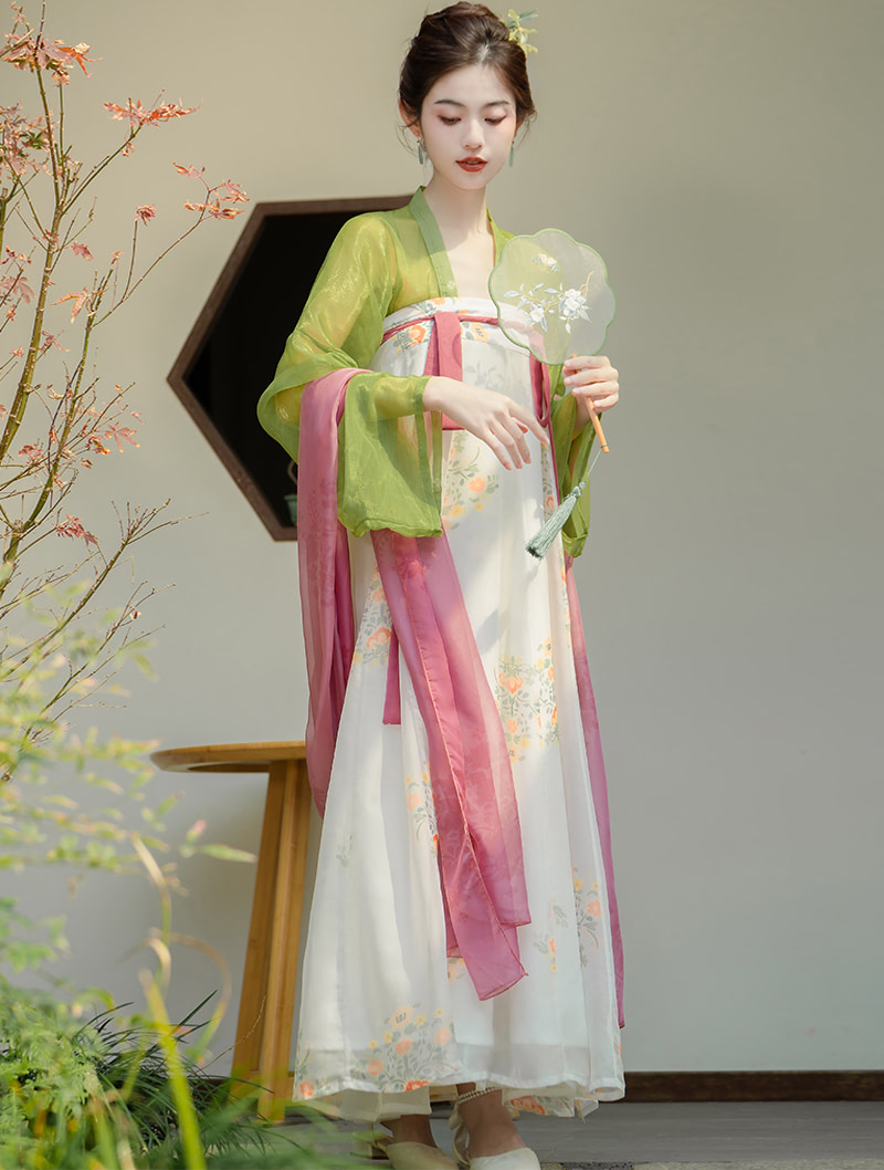 Fairy Tang Dynasty Costume Thin Tulle Modern Daily Hanfu Dress01