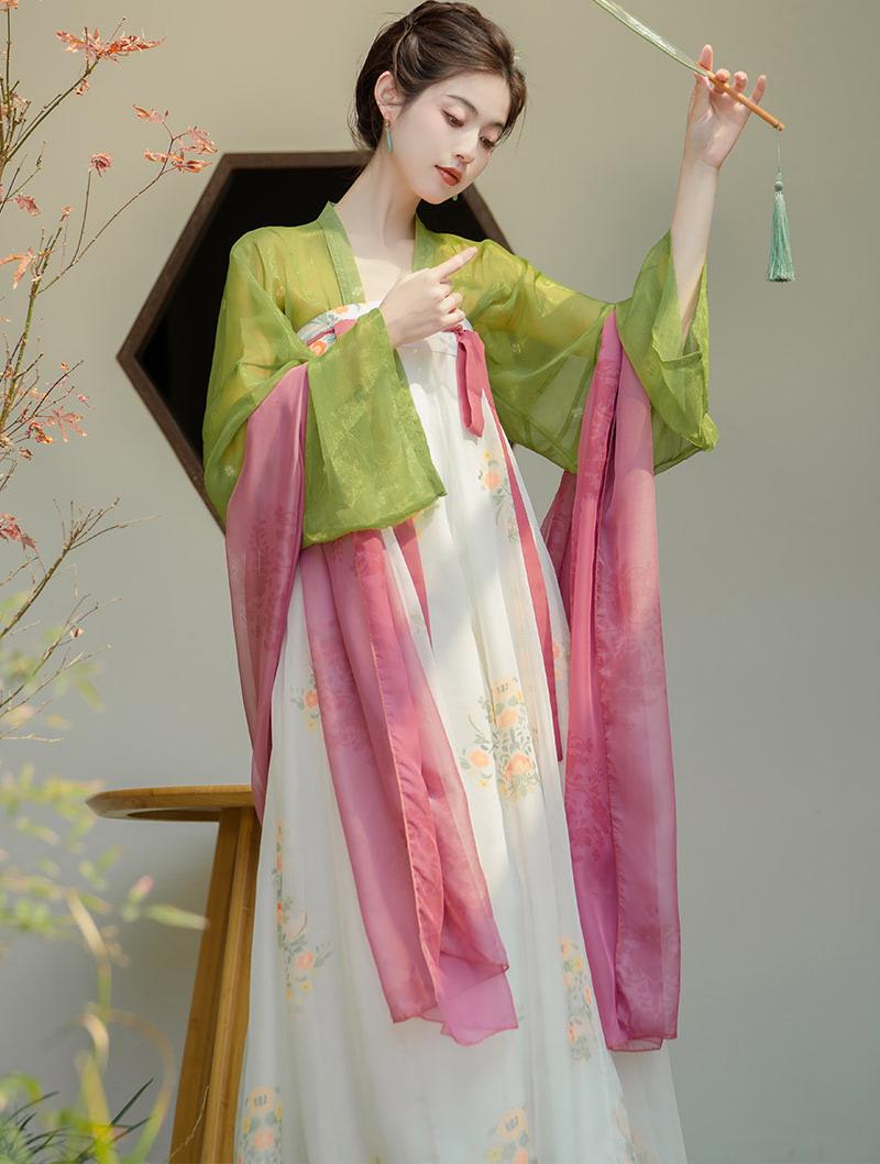 Fairy Tang Dynasty Costume Thin Tulle Modern Daily Hanfu Dress02
