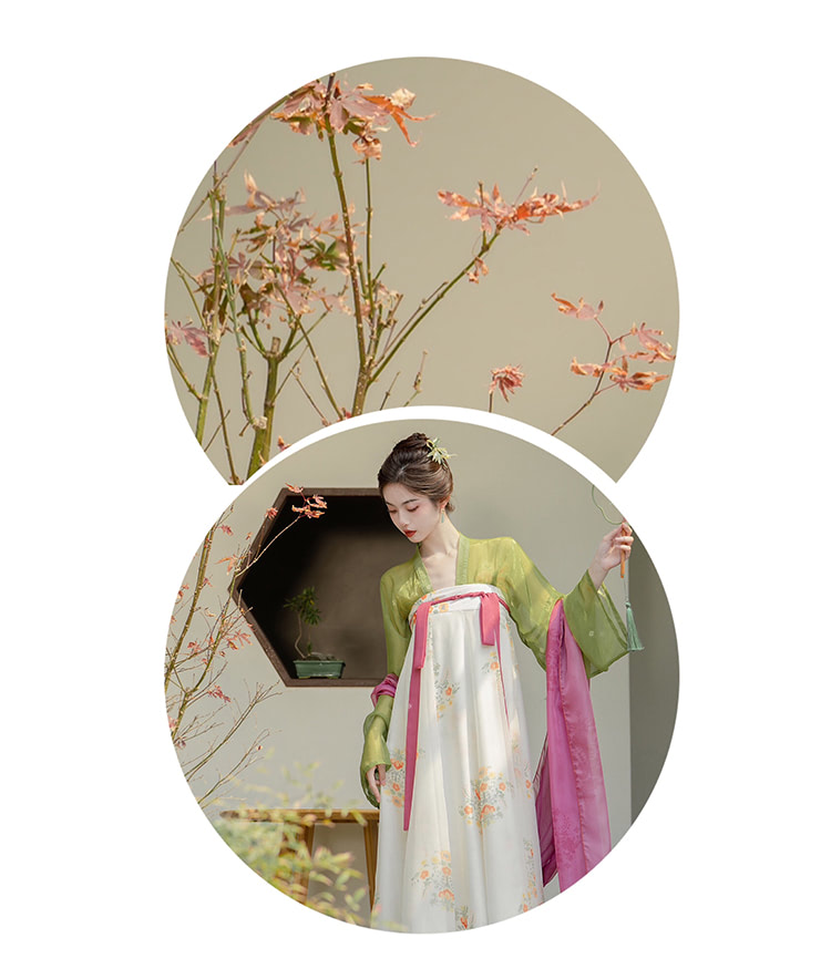Fairy-Tang-Dynasty-Costume-Thin-Tulle-Modern-Daily-Hanfu-Dress08