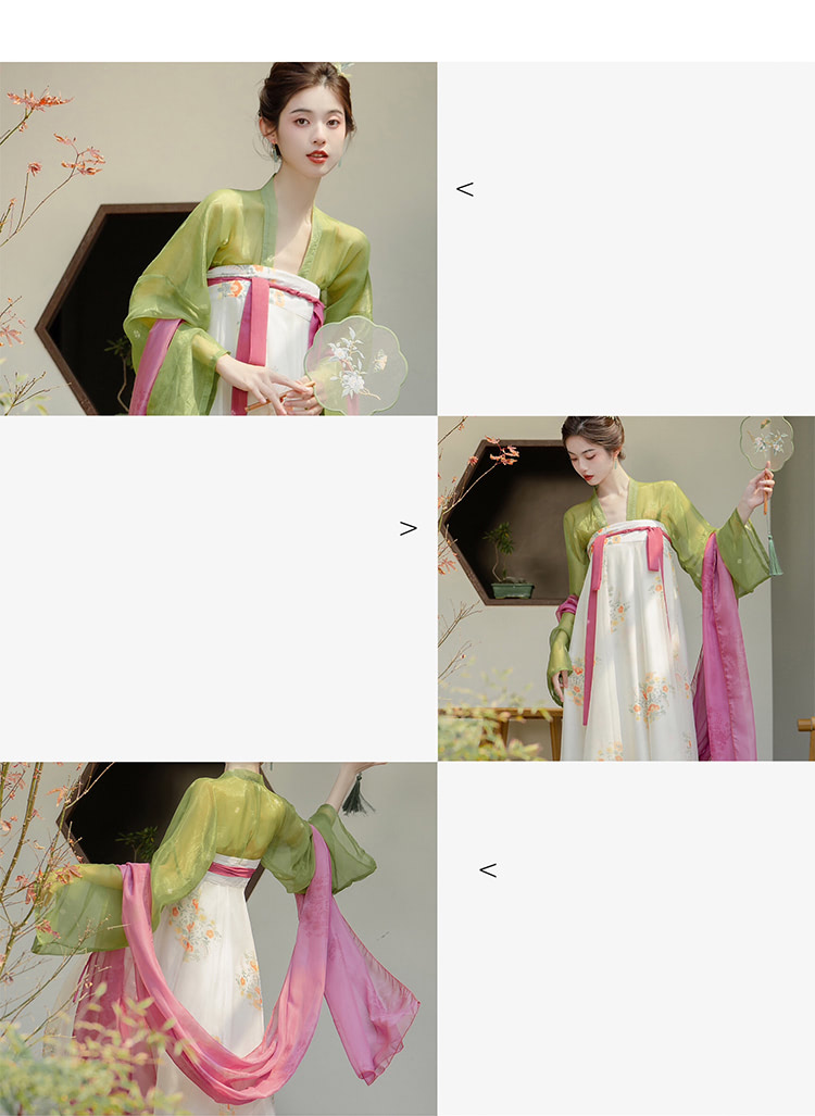 Fairy-Tang-Dynasty-Costume-Thin-Tulle-Modern-Daily-Hanfu-Dress11