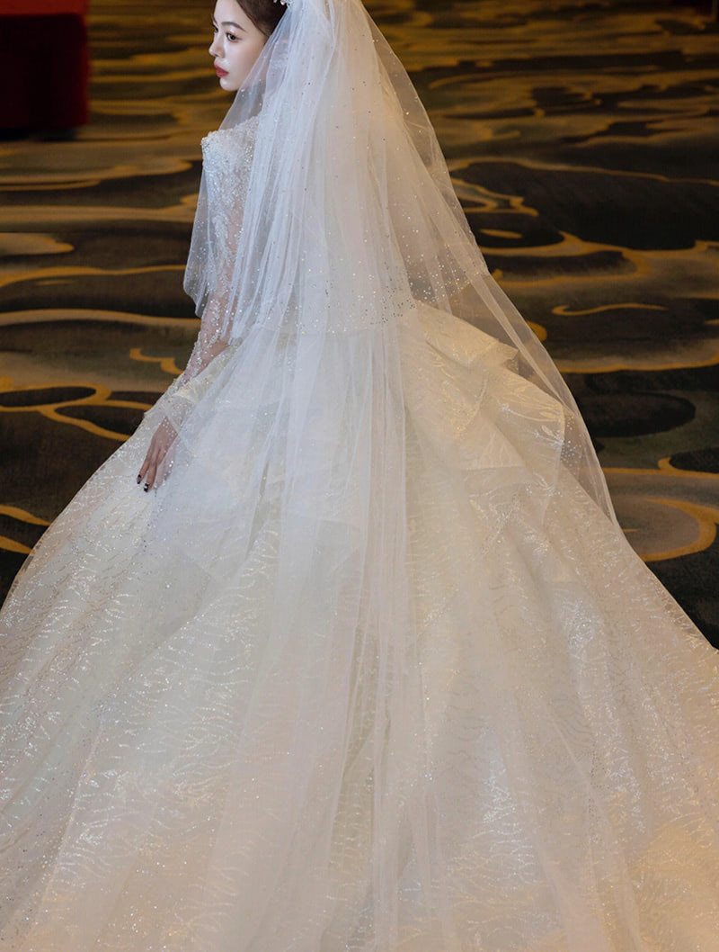 Luxury A Line V-neck Long Tulle Sleeve White Lace Bridal Wedding Dress01